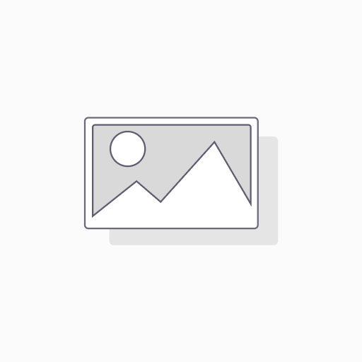 Website Premium